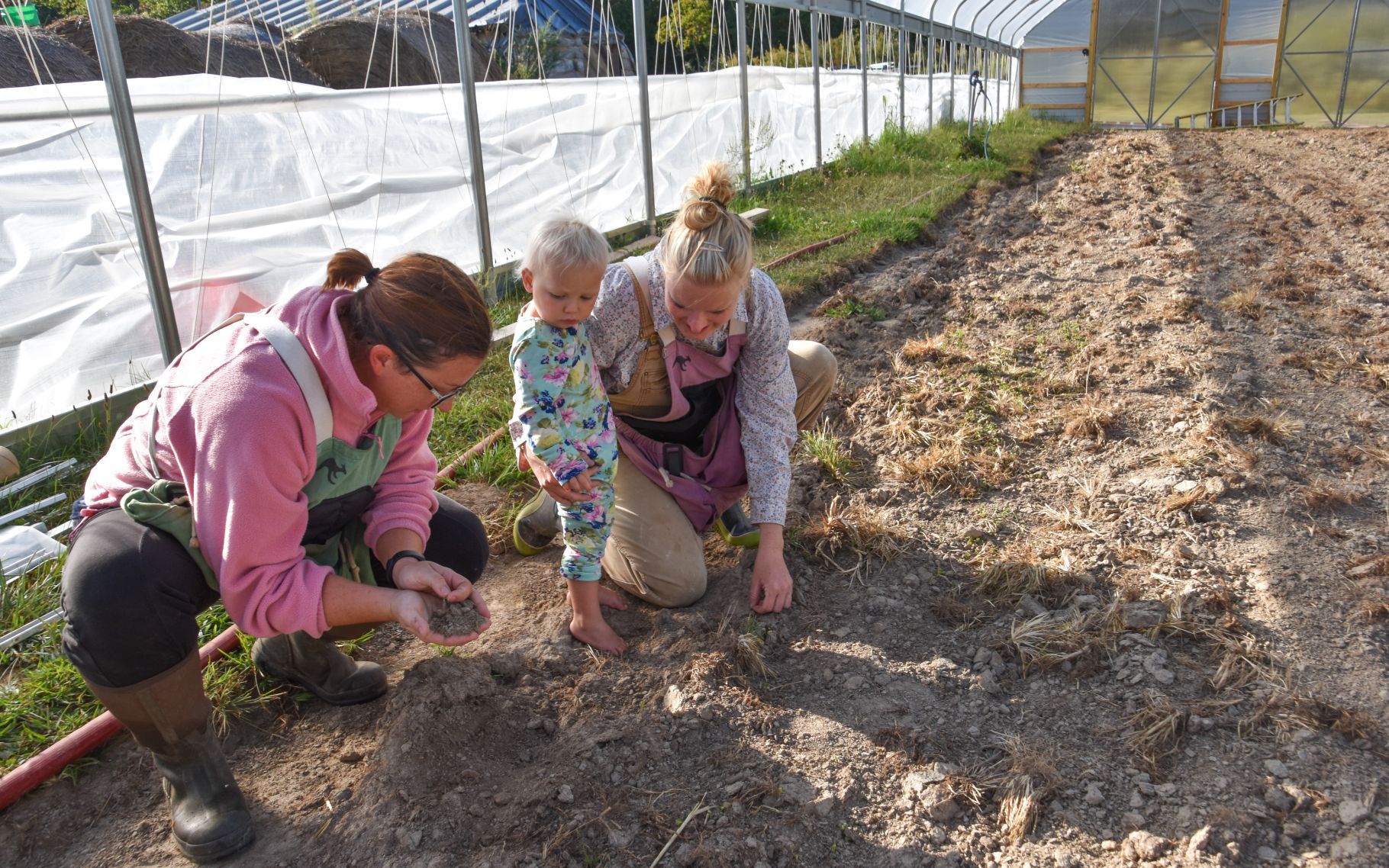 Fresh Fruits Homestead: 5th Annual Fall Festival